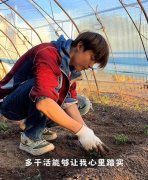 马天宇不成婚生子、不拍戏！正在耕田养鸡